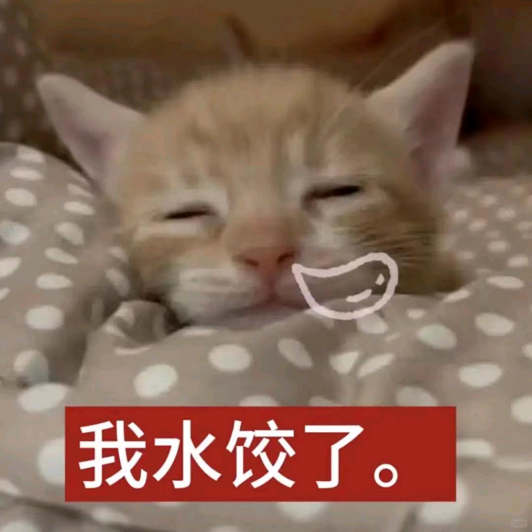 www