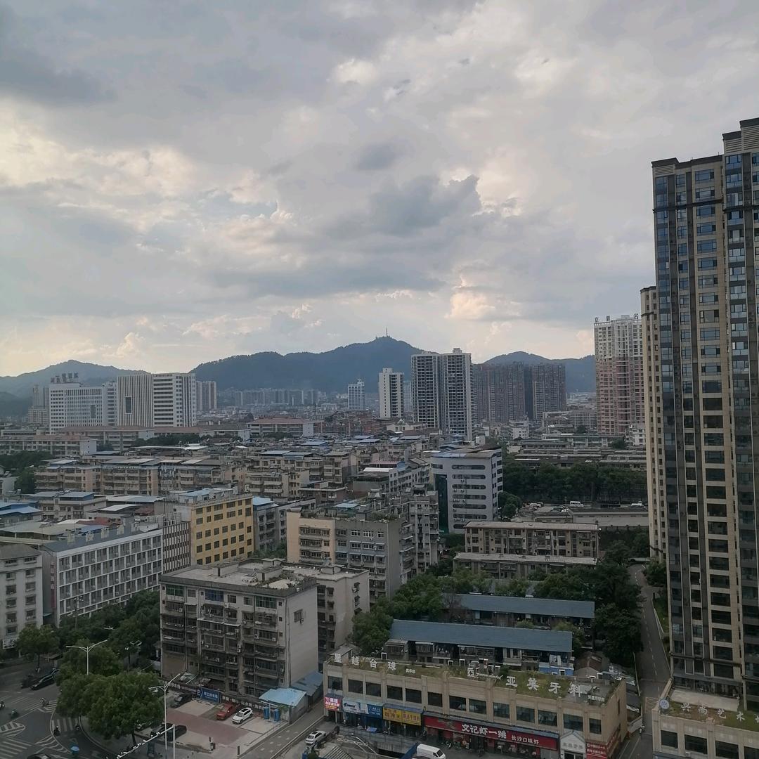 放手也是爱，