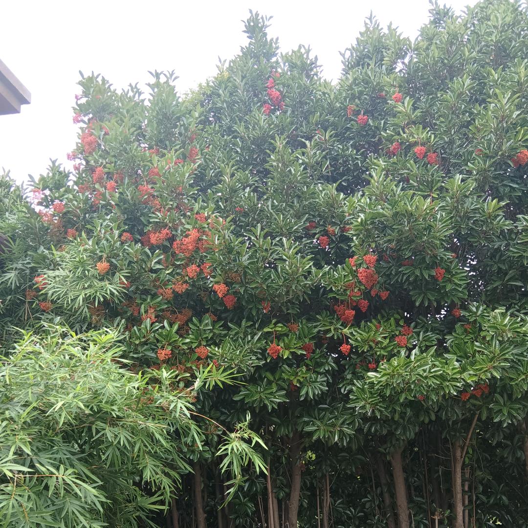 过好自己的生活