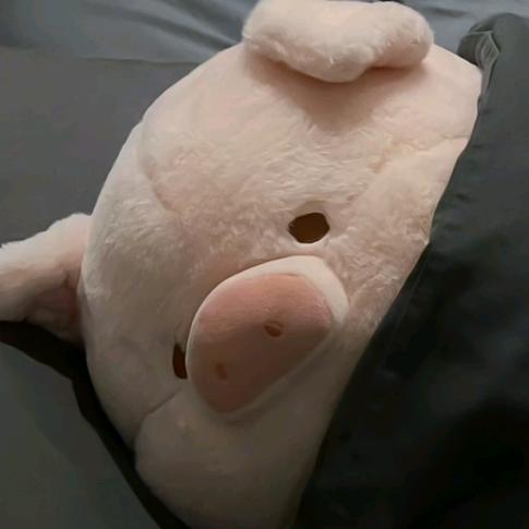 南波万