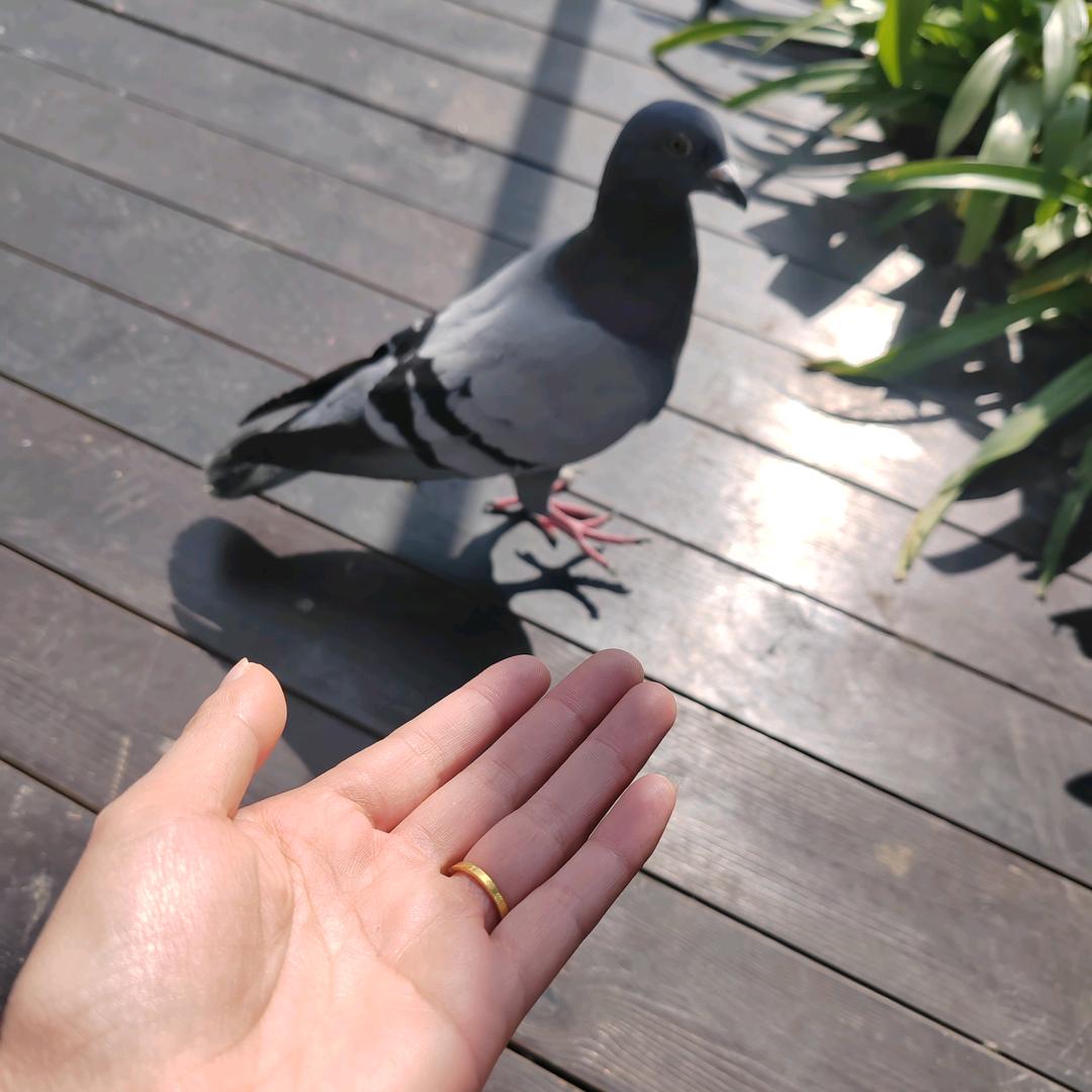 @梅姐姐呀👩
