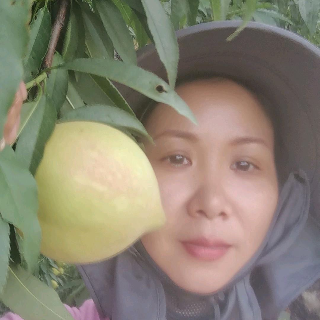 玲姐鹰嘴蜜桃