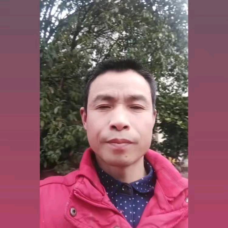 张晓春