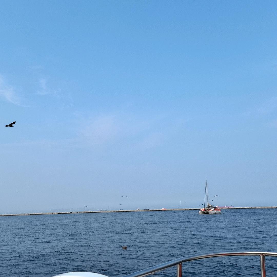 胖丫头《静静》