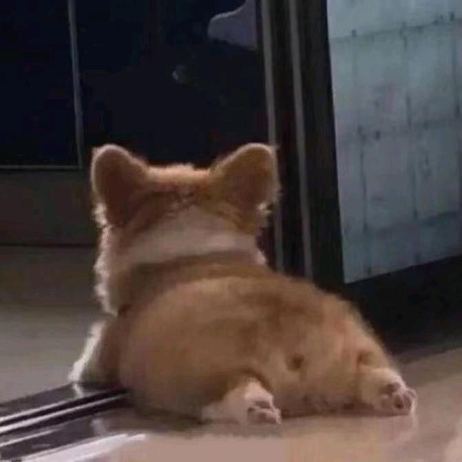 发际线1米7O_o