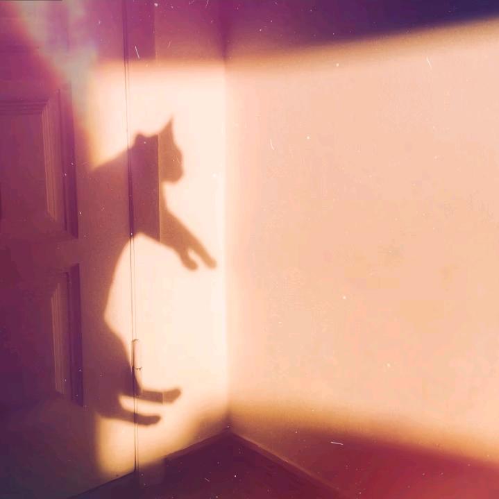 -lilinianlight＾