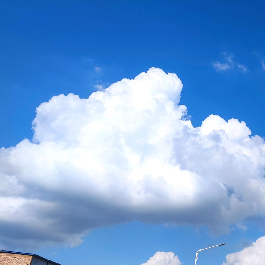 元气少女郭德纲❤️