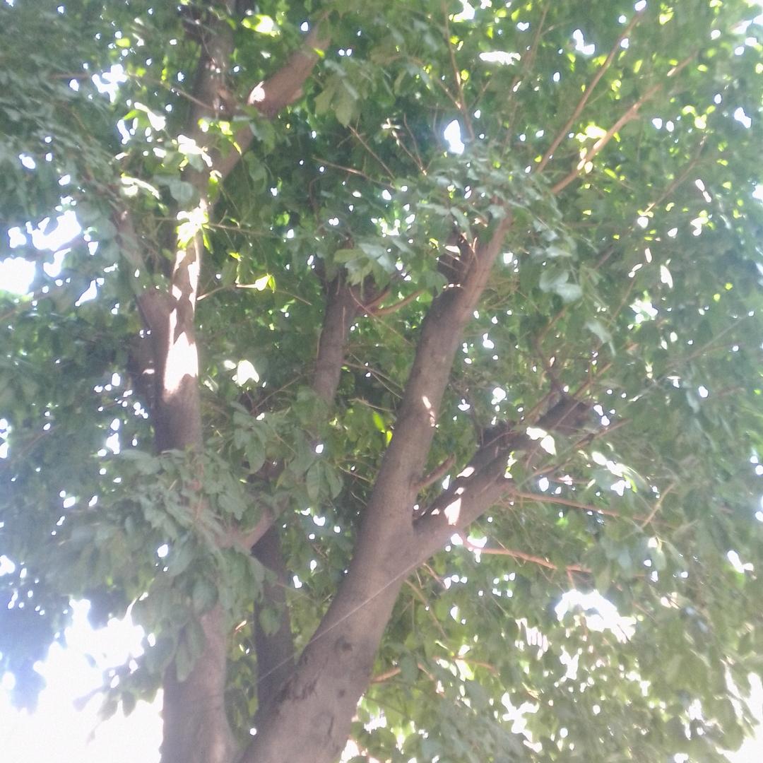 哈楼，哈楼，家住几楼