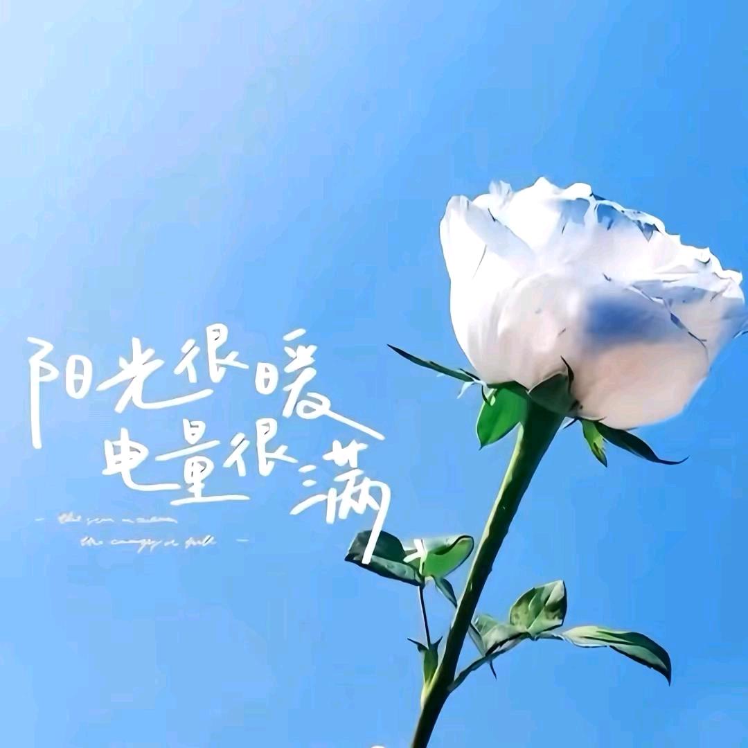☞小辣椒☜