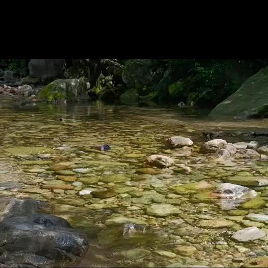 泉水叮咚