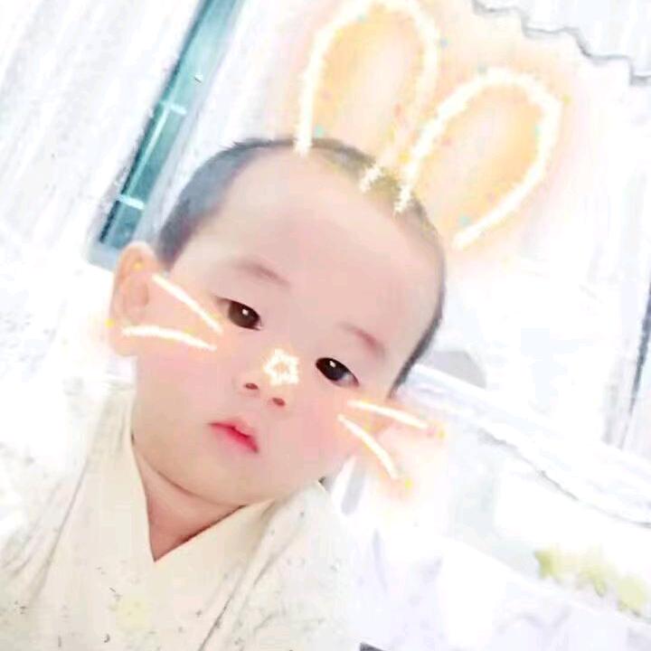 ♡̶树上有只熊ˡᵃ