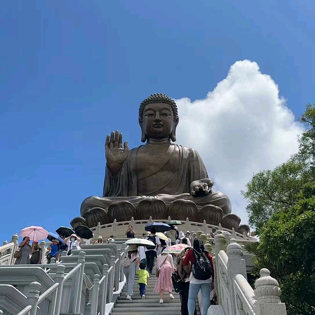 陕西职通商业运营管理有限公司