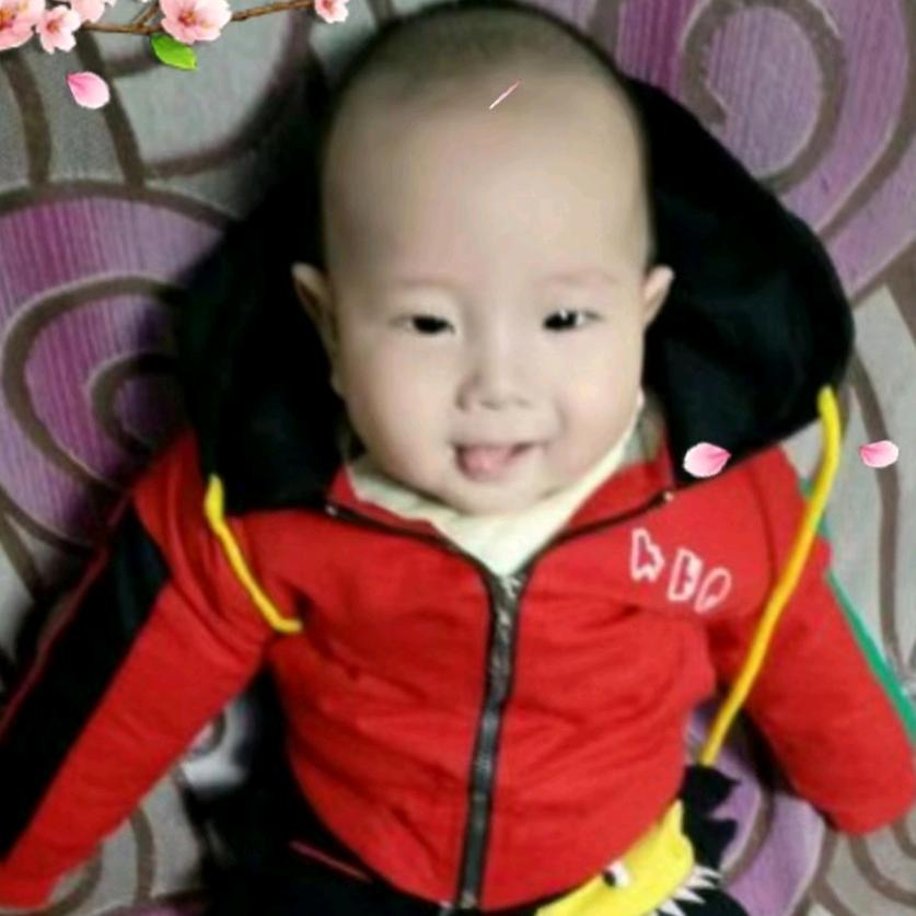 希希麻麻（涨粉中…）