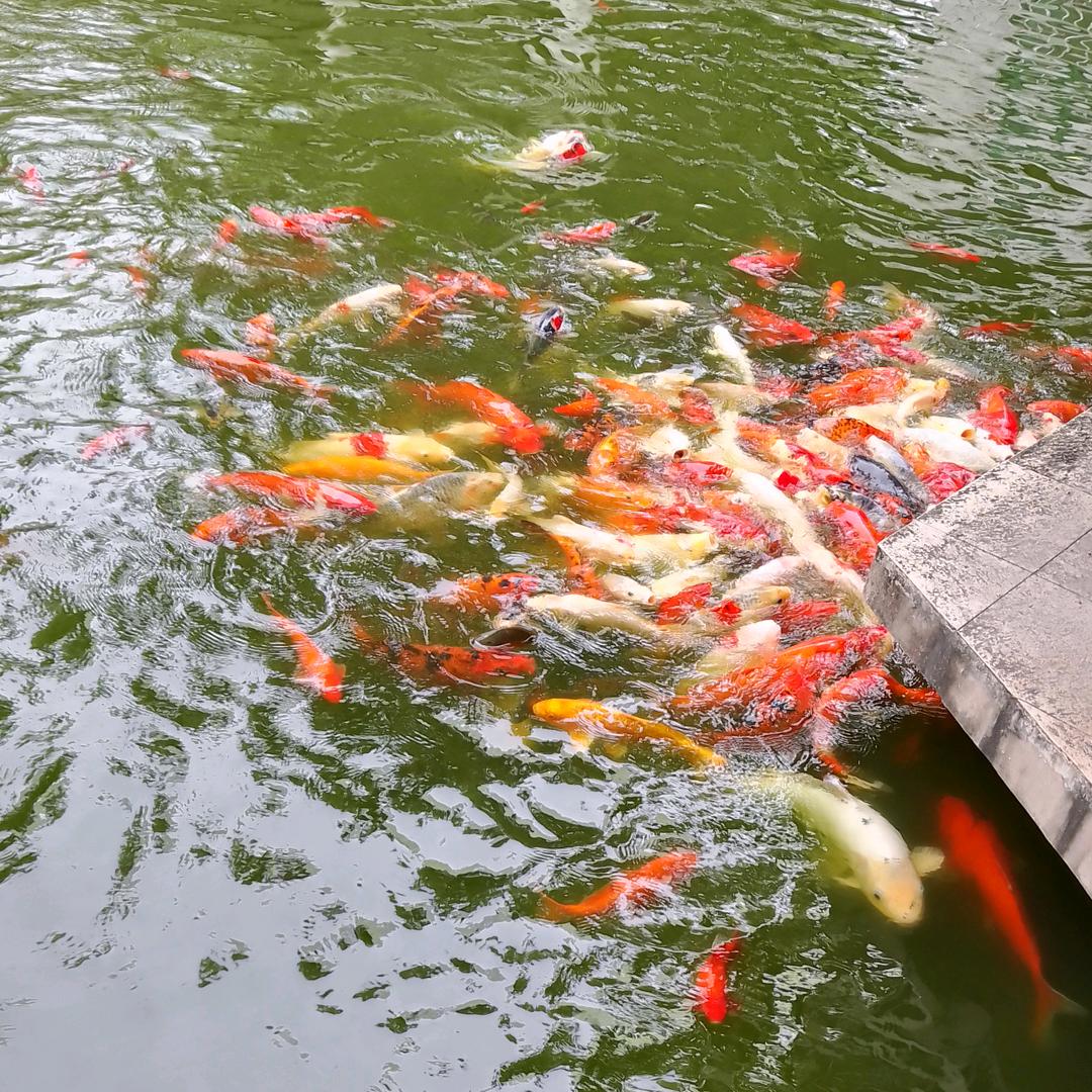 光芒万丈