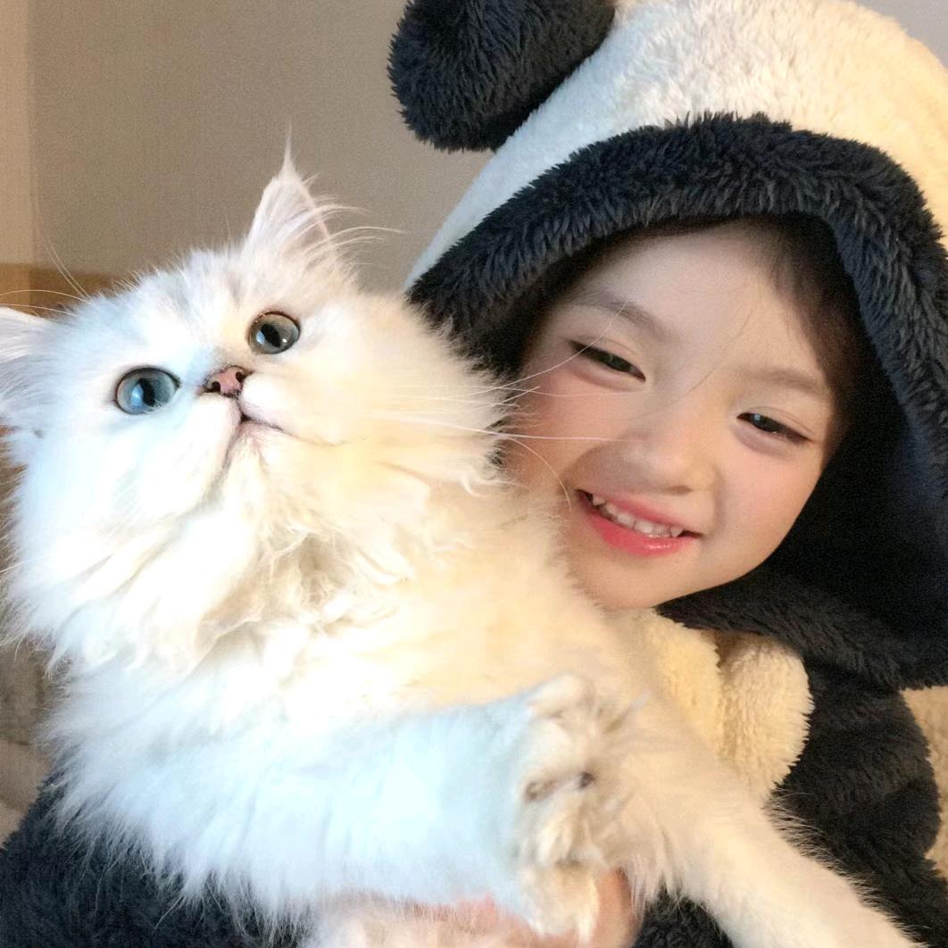 就爱看短剧