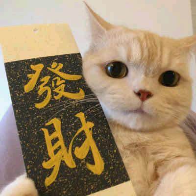 开心谷元气