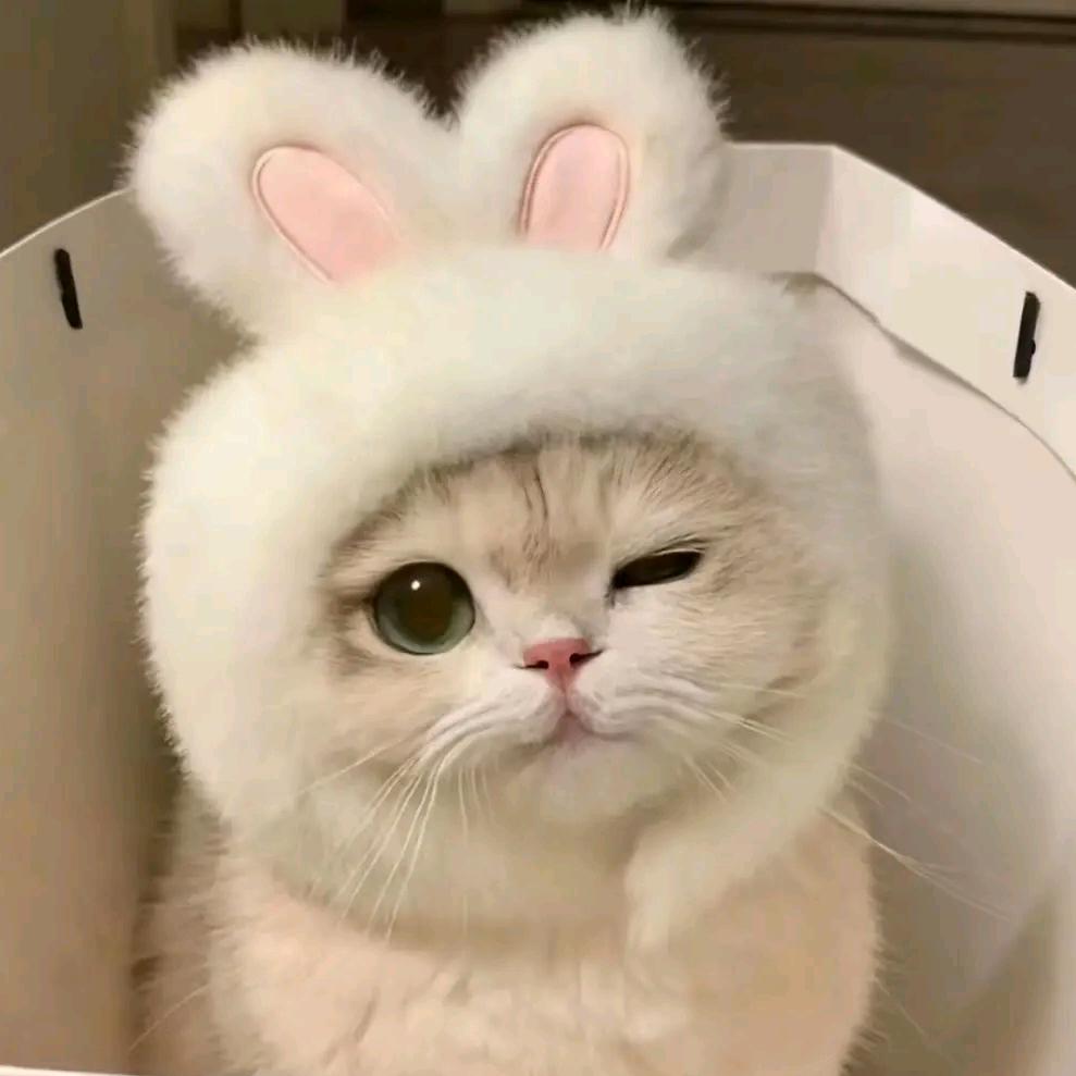 沉默如谜语