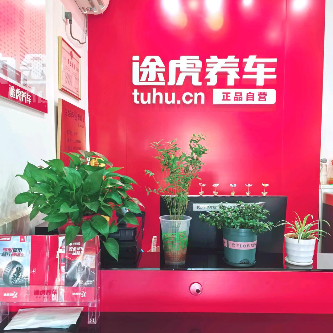 途虎养车湘龙丹姐