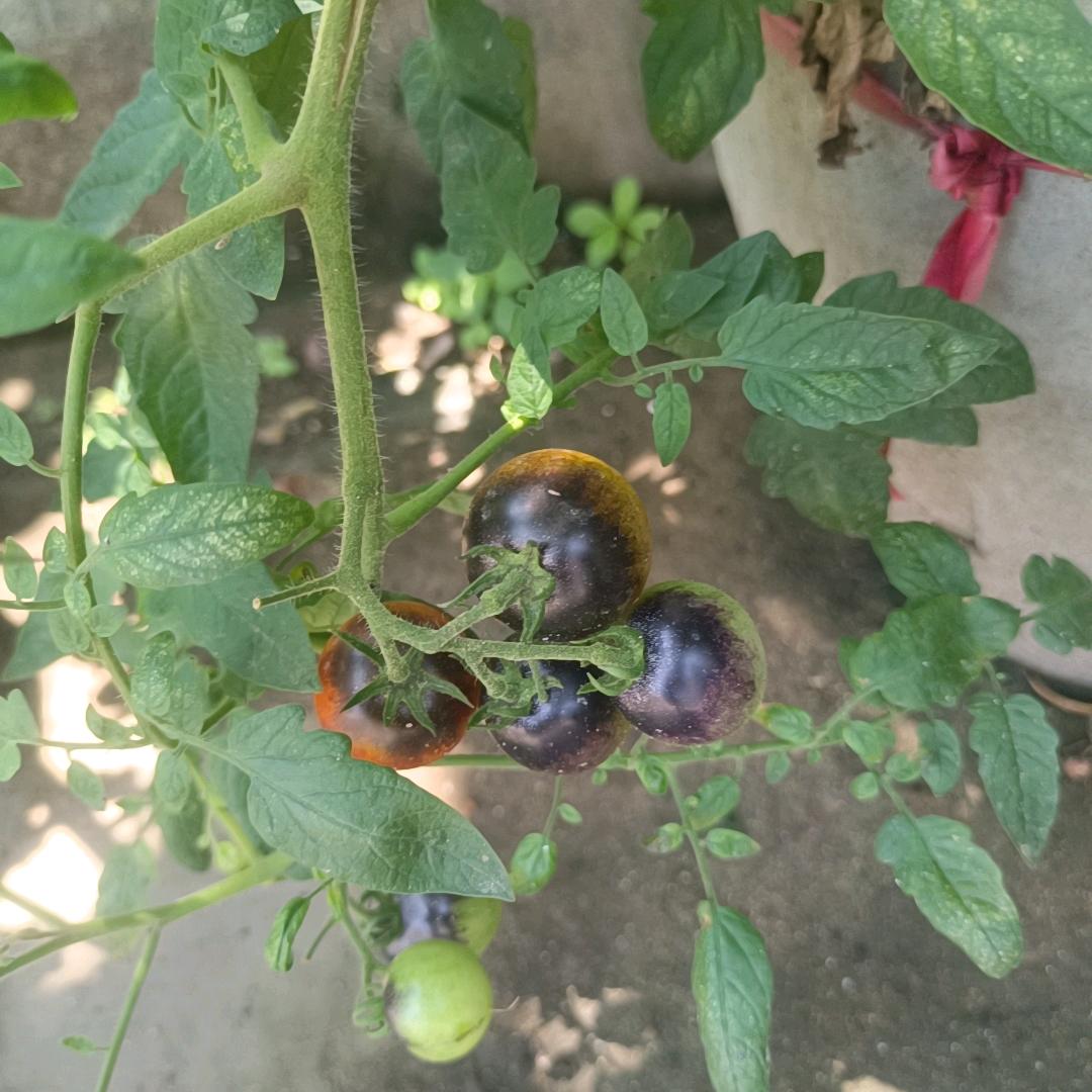 半身已过，学会沉默