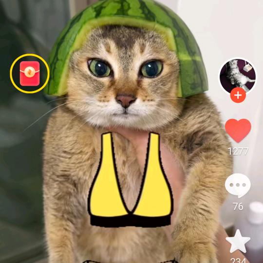 小嘎