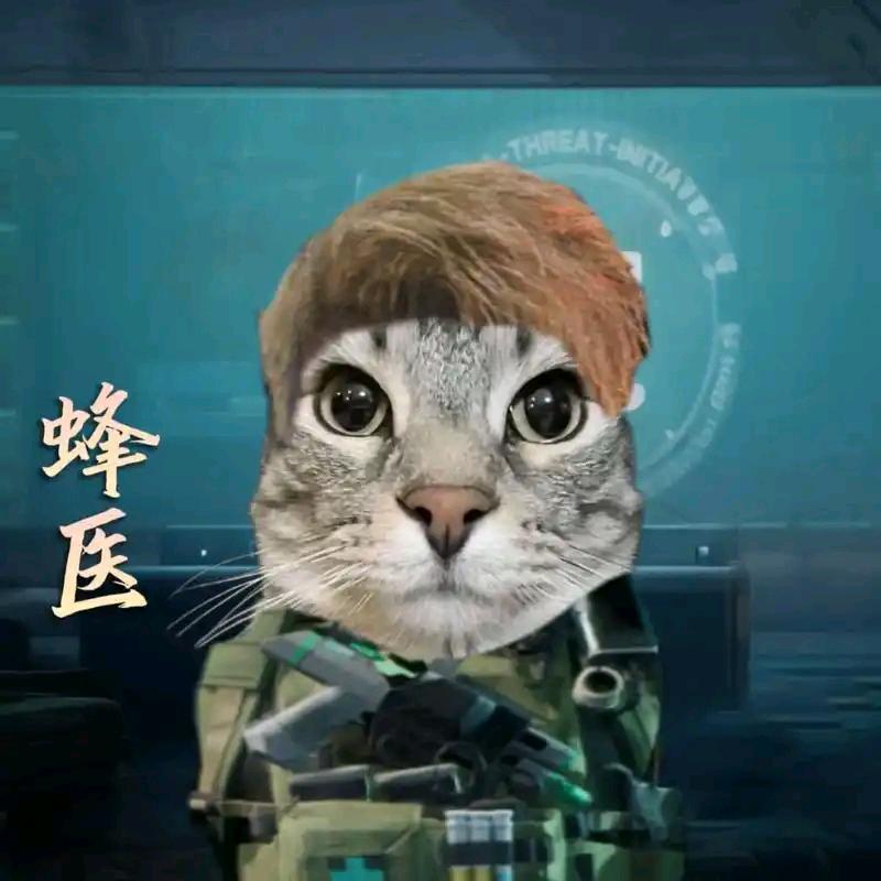 肉肉（三角洲跑刀）