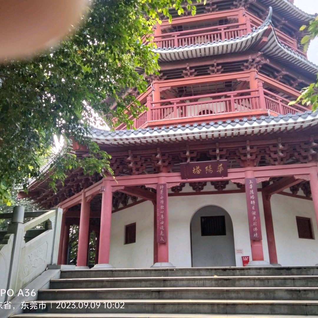 东方不败