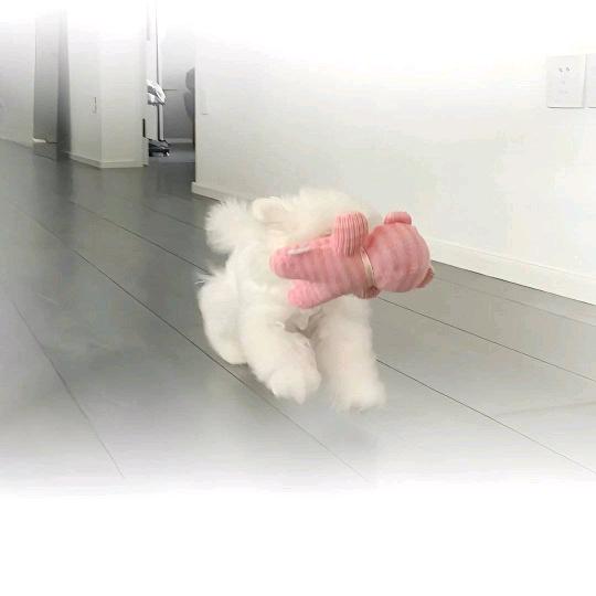 ૮₍ ˃ ⤙ ˂ ₎ა🤡