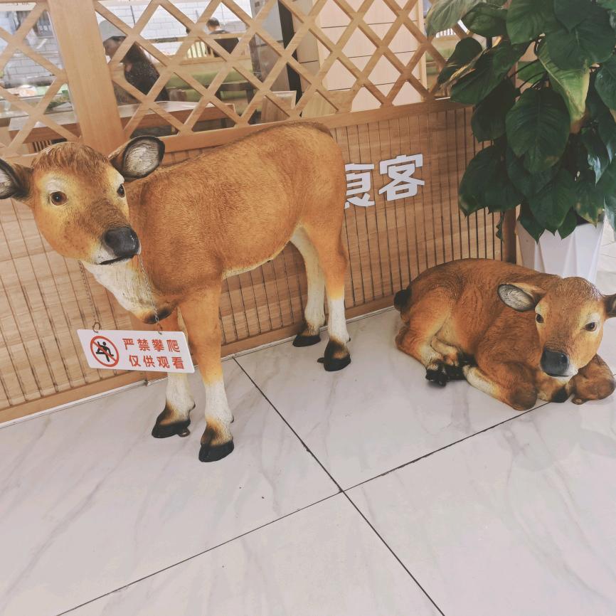农村人