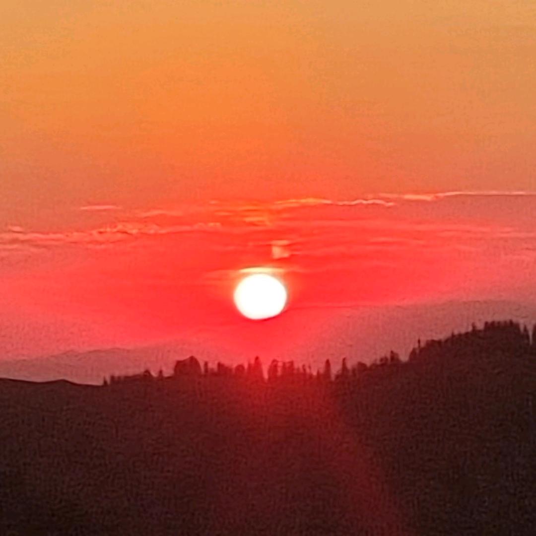 霸道一样的大叔