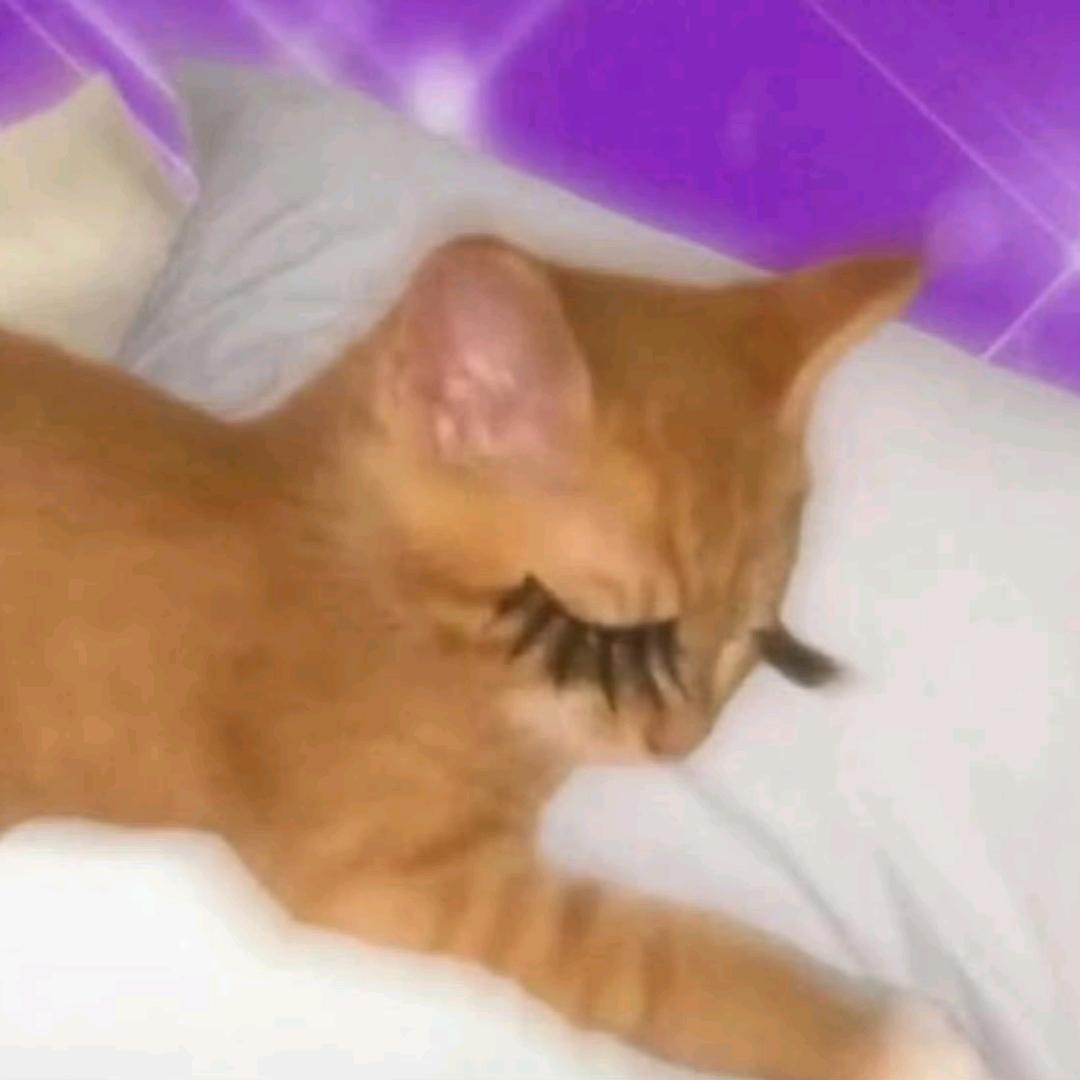 惹我钢丝球刷你牛