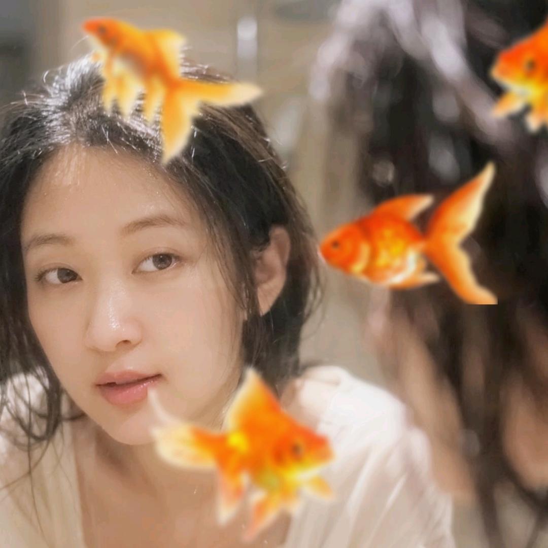 园园水族孔雀鱼