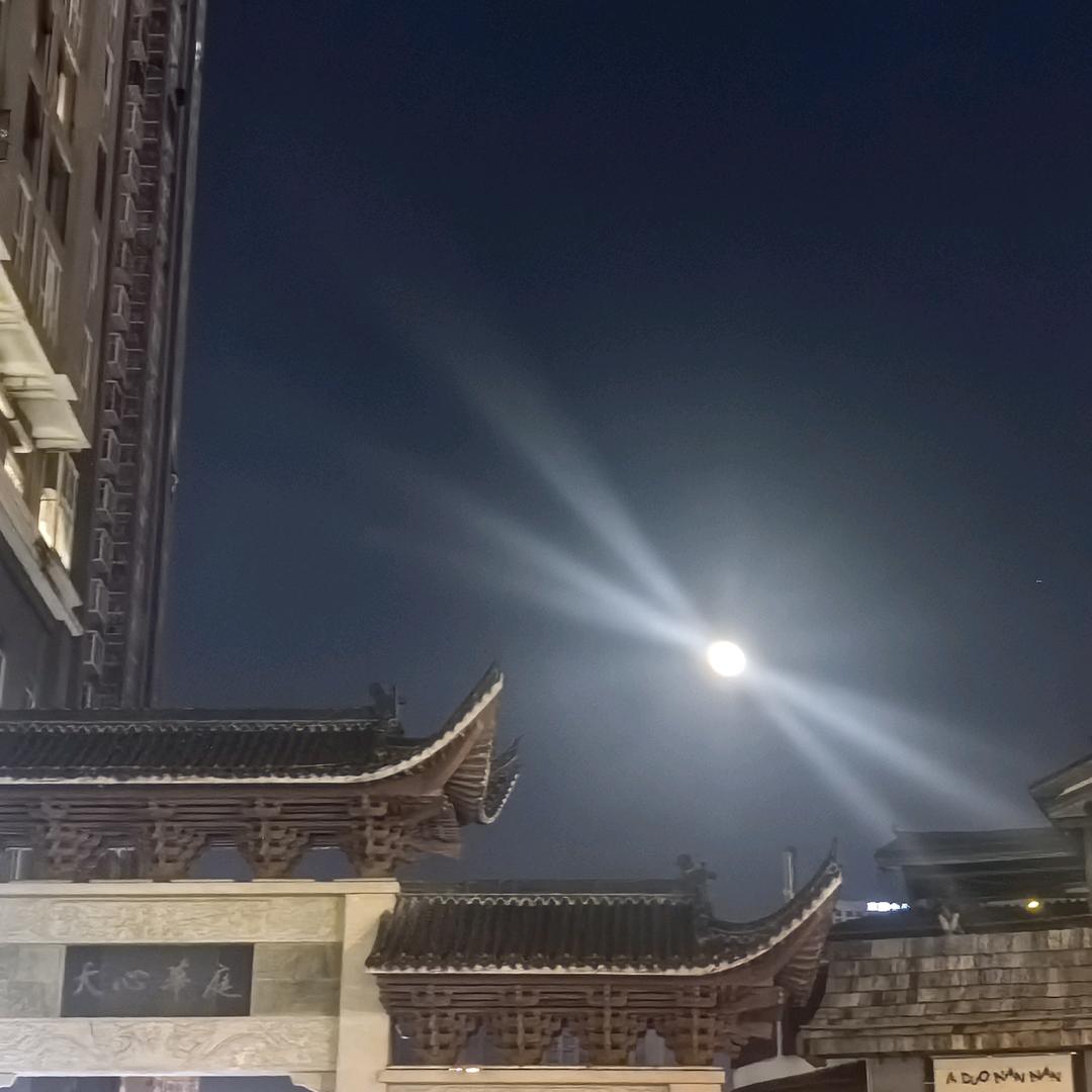 长生花头像
