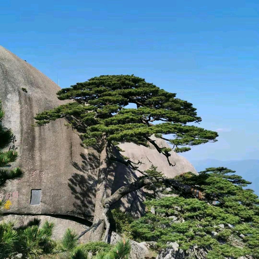 河南🀄🀄🀄