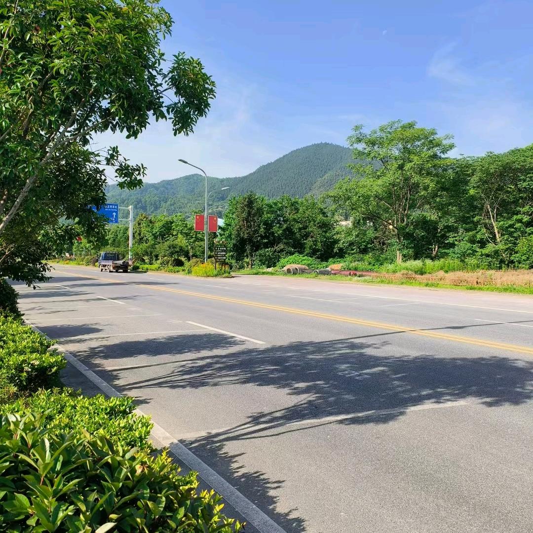 杜三毛