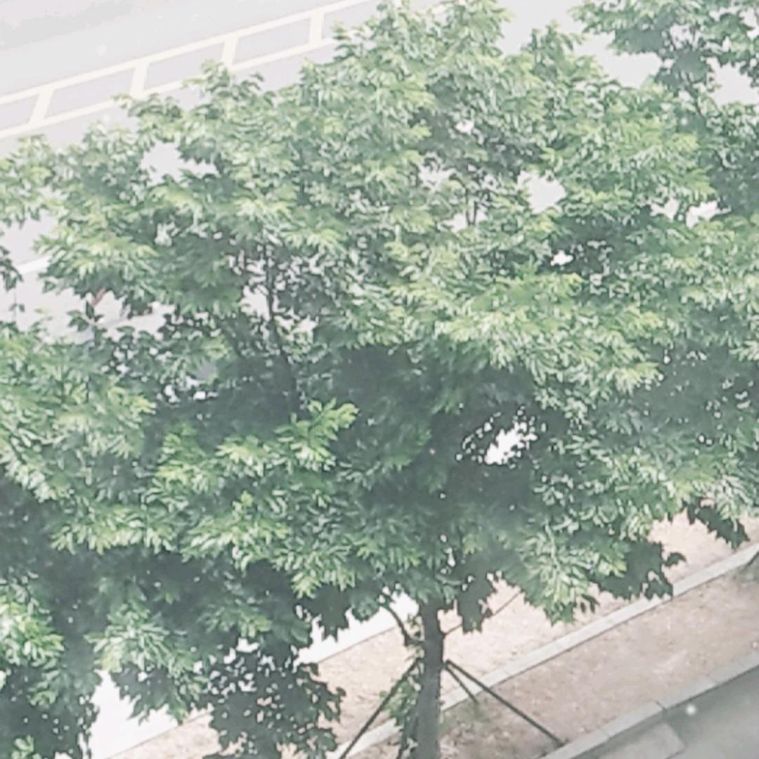 隋‖东🌺