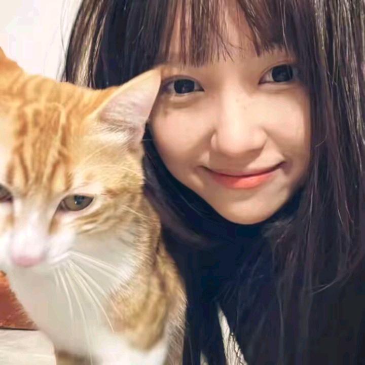 焊
