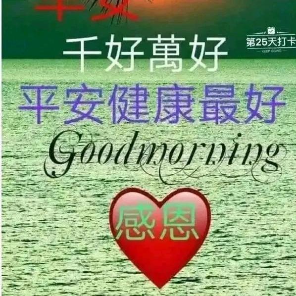 🌟鸿运当头🌟
