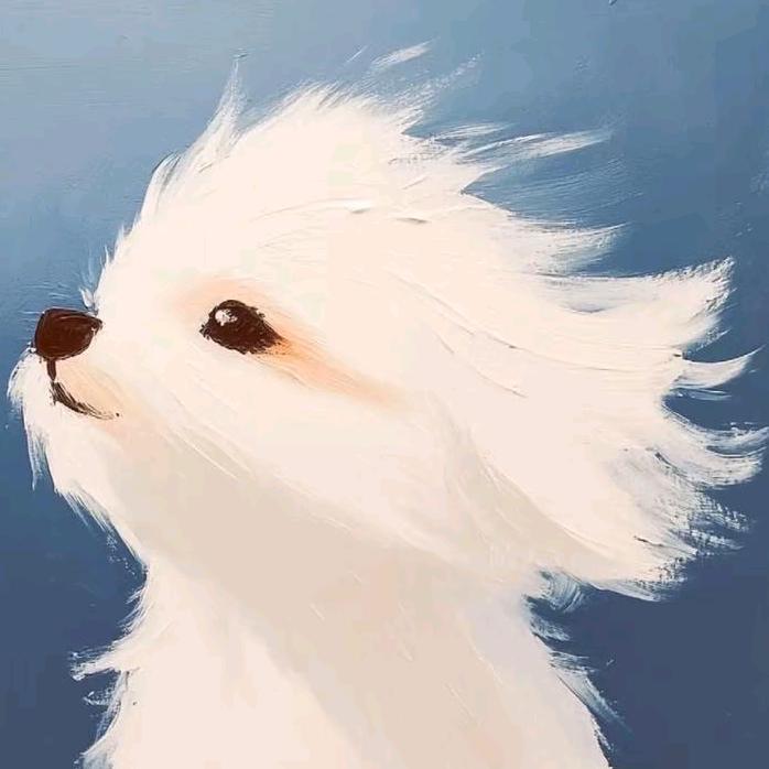 拥吻巴黎街头🗼