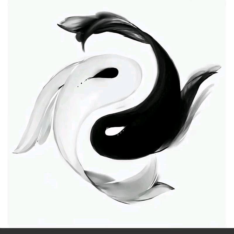 阳子