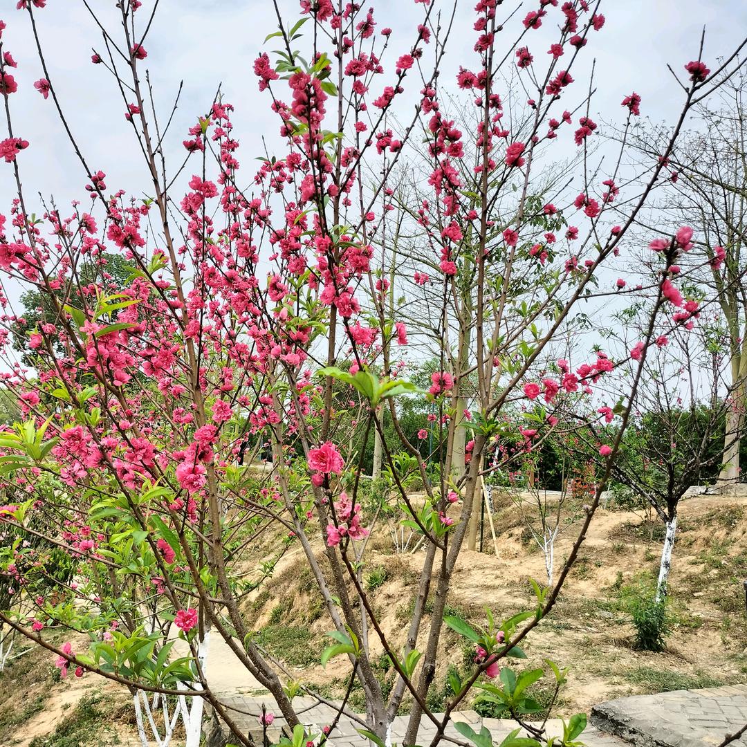 ໑ຼₒ₂₄ღ᭄晶晶🦋꧔ꦿ᭄💞