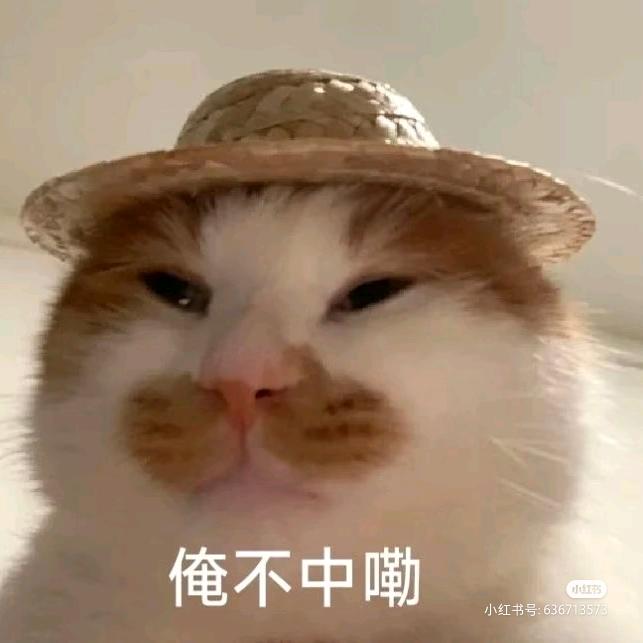 是言宝妈咪呀