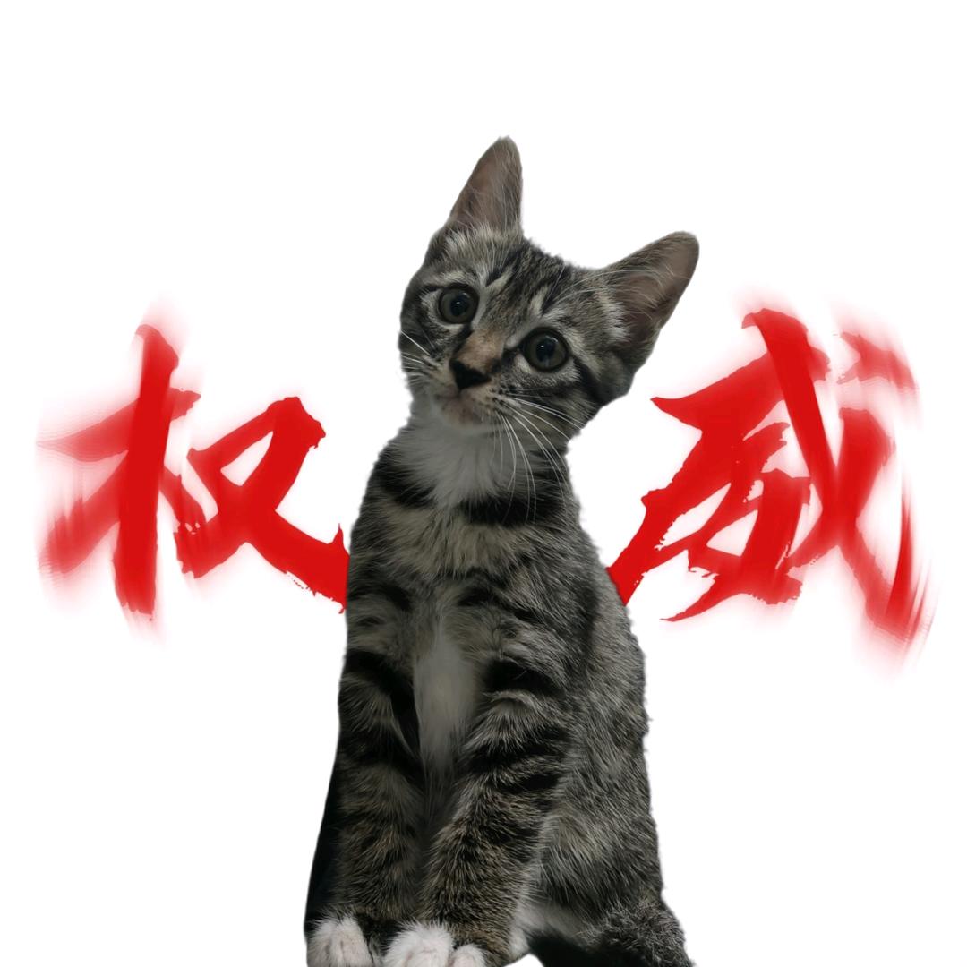 骑4i男友过马路被人路见不平踹翻在绿化带