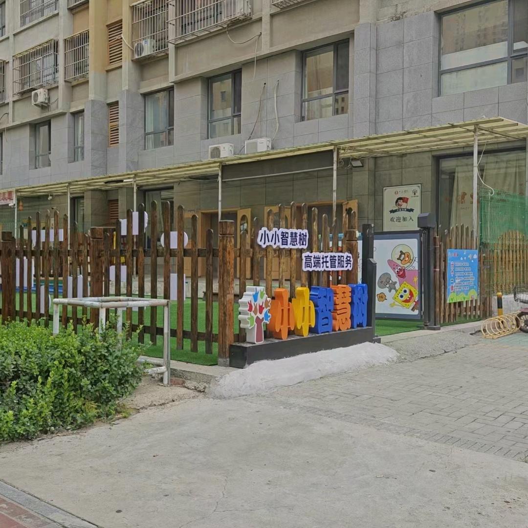 小小智慧树
