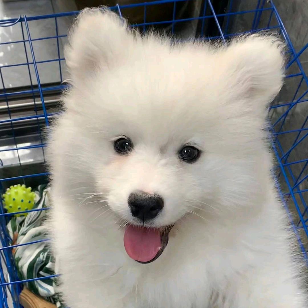 很幸💕᭄运遇᭄ོ🕊见ꦿ࿆你