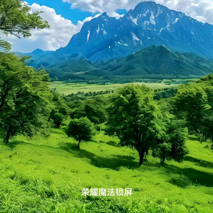 天使无悔