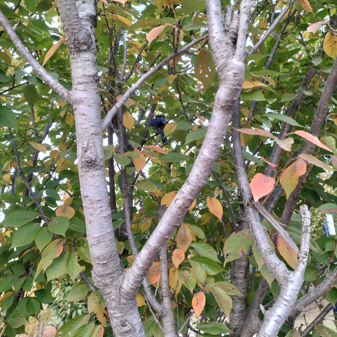 8790021249900小敏,拒绝聊天