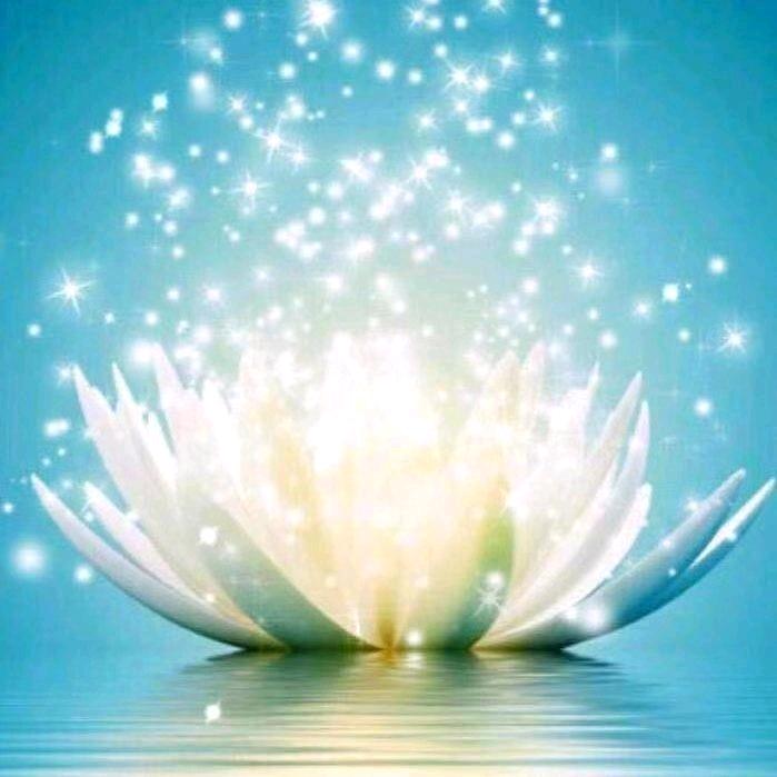 思静🌟516🌟🌟