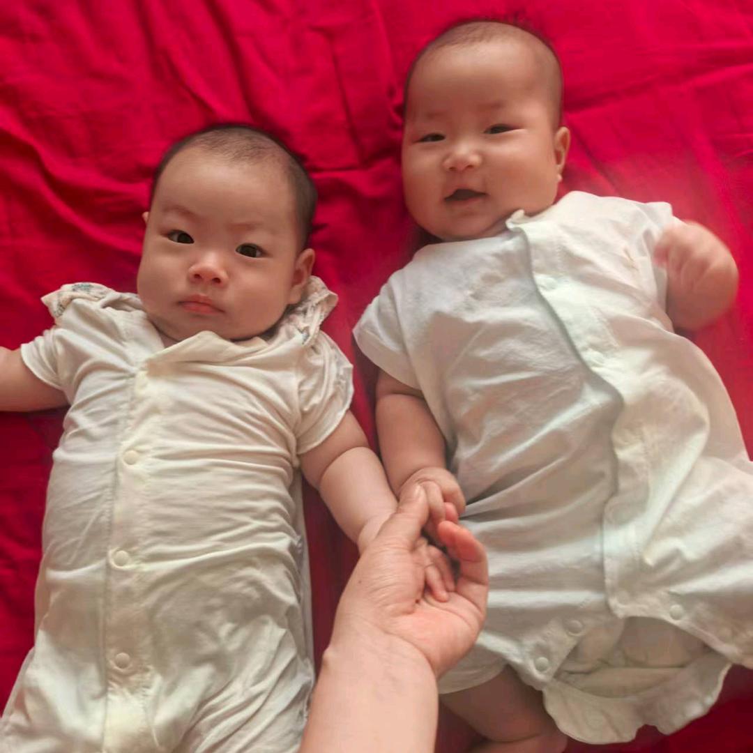 我家的小橙子和小柠檬