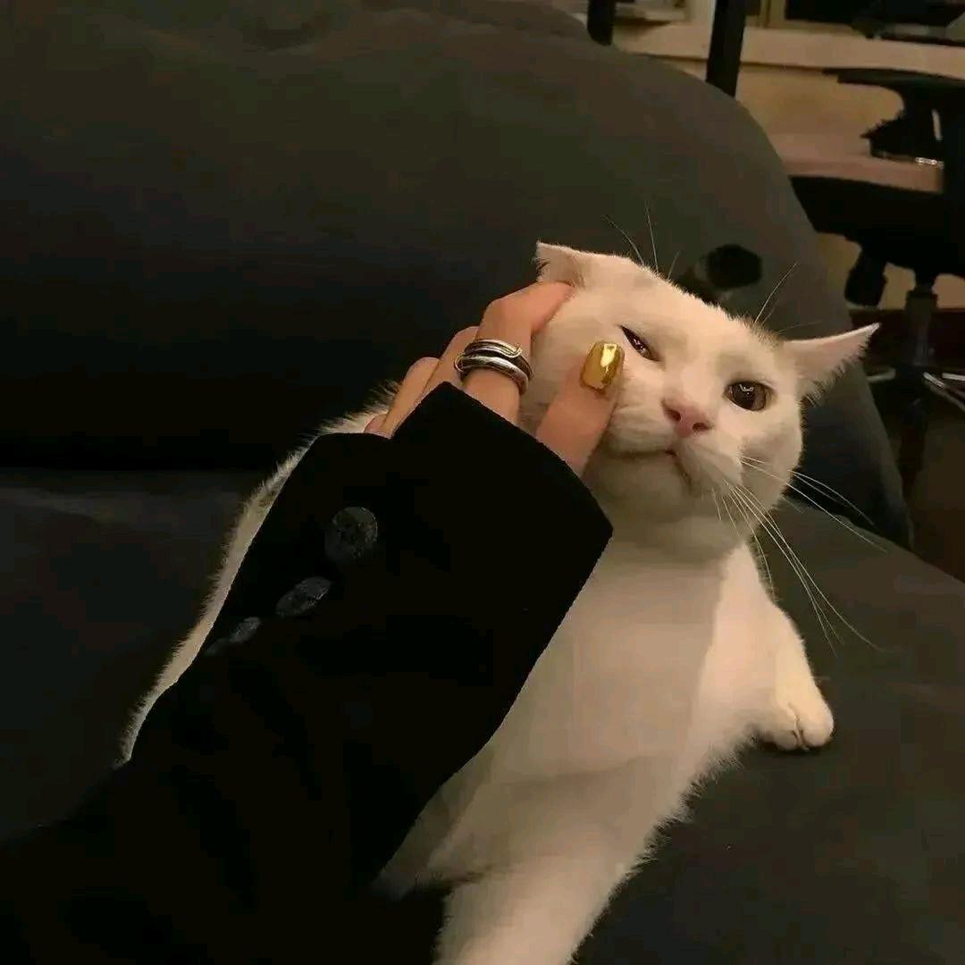 多姿多彩
