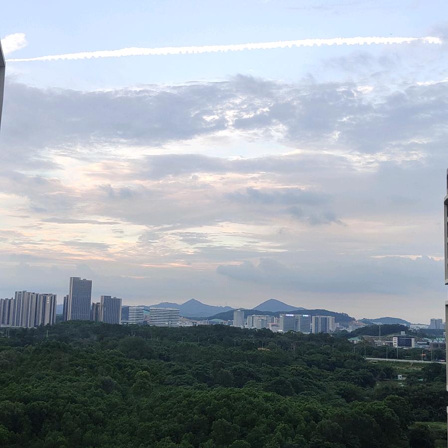 柳一枫